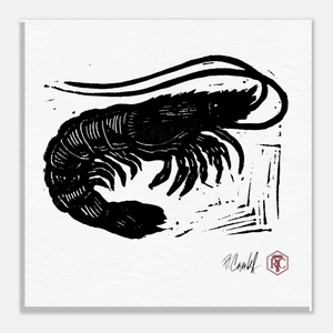 Shrimp — Canvas print 20 × 20 cm