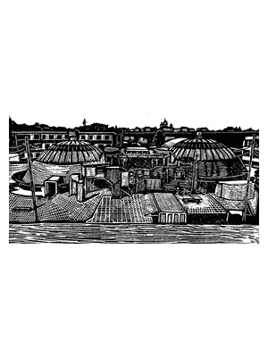 The Domes