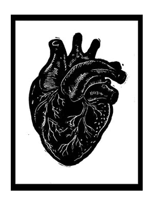Anatomical Heart