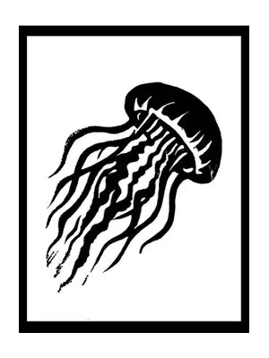 Jellyfish