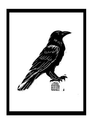 Raven