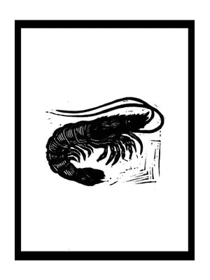 Shrimp